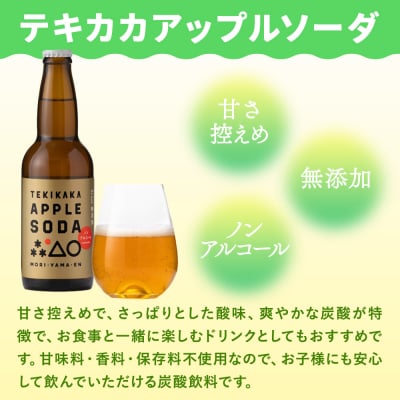 テキカカアップルソーダ 330ml×24本 もりやま園|24_mye-102401