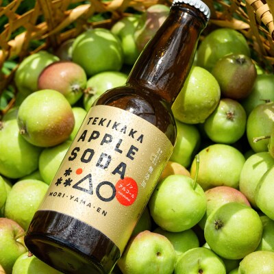 テキカカシードル & アップルソーダ 各330ml×3本 計6本|24_mye-110601