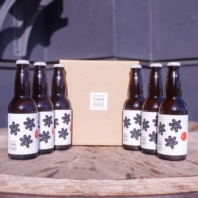 未来を育てるりんごのお酒 テキカカシードル 330ml×6本|24_mye-120601