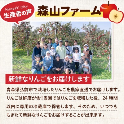 贈答用 森山ファーム厳選 旬の果物食べ比べセット 3kg 9種入|24_myf-060301