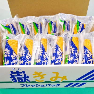 とうもろこし 嶽きみ真空パック家庭用　食べきりサイズ×12本|24_nkk-011201