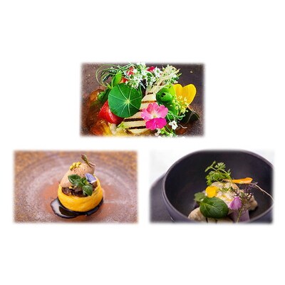 【弘前イタリアン】オステリア・エノテカ・ダ・サスィーノ 食事券15万円分|24_oes-011501