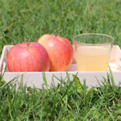 青森県産 ストレートりんごジュース 180ml×10本|24_pwm-011001