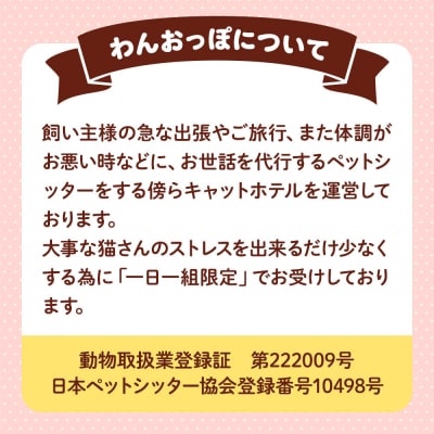 ペット ホテル【一日一組限定】キャットホテル 宿泊券 1泊|24_pwo-010101