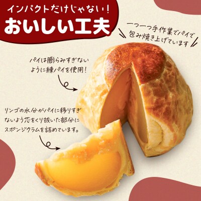 アップルパイ 気になるリンゴ 3個入 ラグノオささき|24_ras-010301