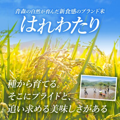 米 令和7年産 青森県産はれわたり(らく米・無洗米)3kg【白米】|24_tzn-020301
