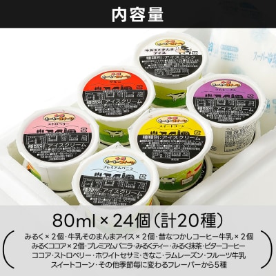 十勝もーもースイーツ ファミリーアイスバラエティセット 80ml×24個(20種) 北海道 スイーツ