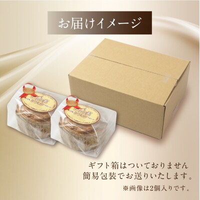 栃の実シフォン 2個 (縦14cm 横14cm 高さ8cm)お菓子 チョコ 贈答 ギフト【6-8】