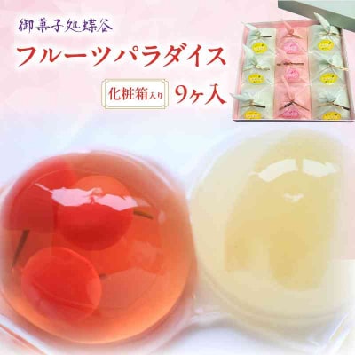 御菓子処蝶谷　フルーツパラダイス　9ヶ入・化粧箱 007-008