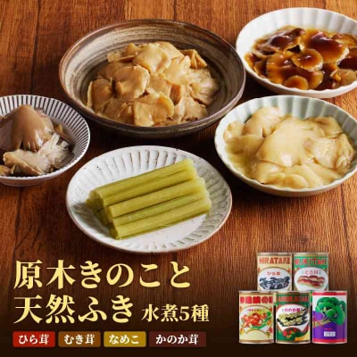大江町柳川産 原木きのこ天然ふき水煮セット5種1080g(固形量) 014-001