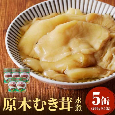 大江町柳川産 原木むき茸水煮200g×5缶(固形量) 014-005
