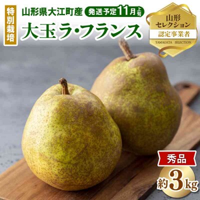 《先行受付》特別栽培 大玉 ラフランス 約3kg 【2026年11月上旬発送予定】 025-016