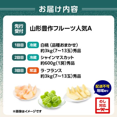 ≪先行受付≫ 山形豊作フルーツ人気A【定期便全3回】 060-T02 