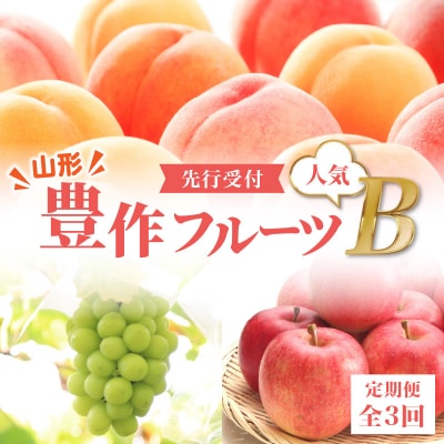 ≪先行受付≫ 山形豊作フルーツ人気B【定期便全3回】 060-T03