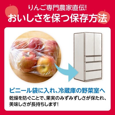 《先行受付》訳あり シナノスイート約10kg【2026年10月中旬～発送予定】 015-057