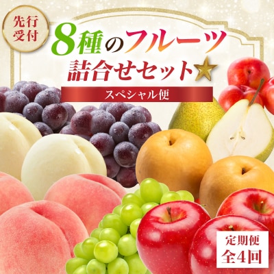 ≪先行受付≫8種のフルーツ詰合せセット★スペシャル便【定期便全4回】 060-T05