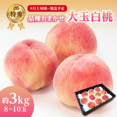 《先行受付》品種おまかせ 大玉白桃 約3kg 特秀【2026年8月上旬頃～発送予定】001-100