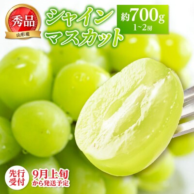 《先行受付》山形シャインマスカット約700g以上(1～2房)秀品【9月頃～順次発送】 063-014