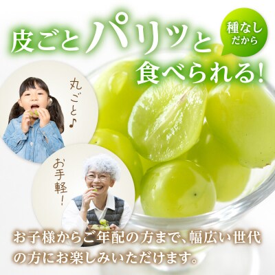 《先行受付》山形シャインマスカット約700g以上(1～2房)秀品【9月頃～順次発送】 063-014