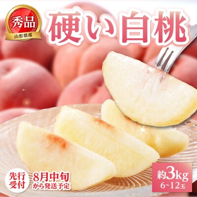 《先行受付》硬い白桃(品種おまかせ)約3kg(6～12玉)秀品【8月中旬頃順次発送】 063-016