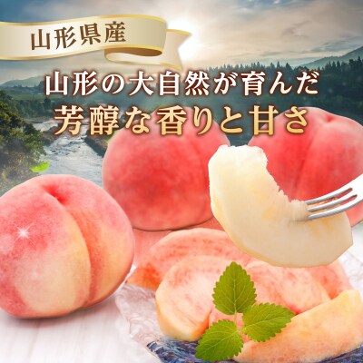 《先行受付》硬い白桃(品種おまかせ)約3kg(6～12玉)秀品【8月中旬頃順次発送】 063-016