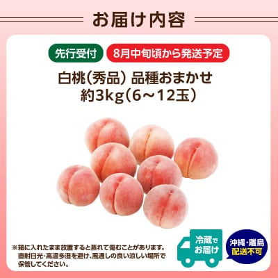 《先行受付》硬い白桃(品種おまかせ)約3kg(6～12玉)秀品【8月中旬頃順次発送】 063-016