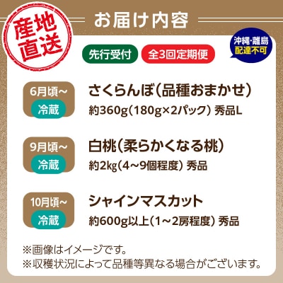 【発送月固定】山形旬彩!こだわりフルーツ定期便全3回B 063-T02