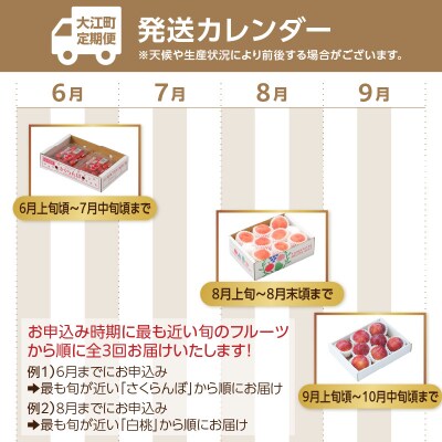 【発送月固定】山形旬彩!こだわりフルーツ定期便全3回A 063-T01