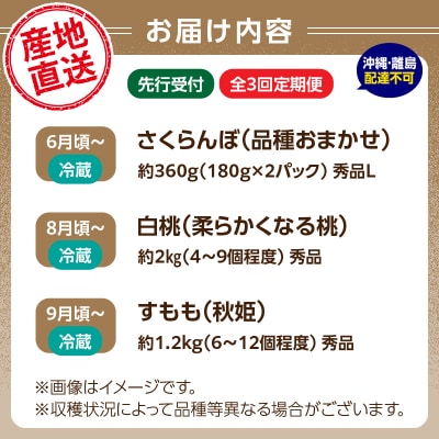 【発送月固定】山形旬彩!こだわりフルーツ定期便全3回A 063-T01