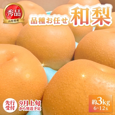 《先行受付》山形産和梨(品種お任せ)約3kg 秀品【2026年9月頃～順次発送予定】 063-015