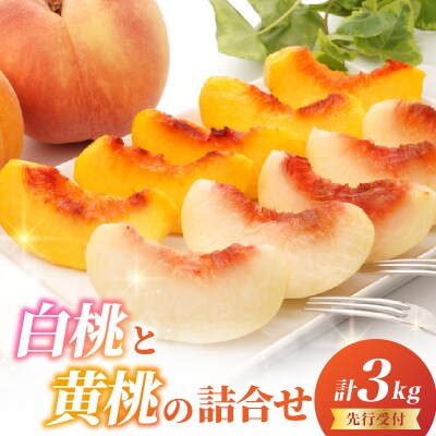 《先行受付》白桃と黄桃詰合せ3kg【2026年8月頃より順次発送予定】 060-016