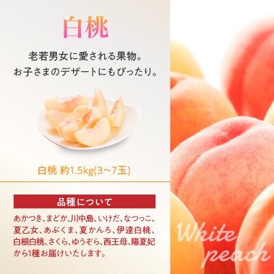 《先行受付》白桃と黄桃詰合せ3kg【2026年8月頃より順次発送予定】 060-016