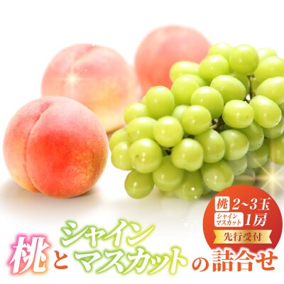 《先行受付》桃とシャインマスカットの詰合せ【2026年9月頃より順次発送予定】 060-017