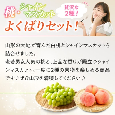 《先行受付》桃とシャインマスカットの詰合せ【2026年9月頃より順次発送予定】 060-017