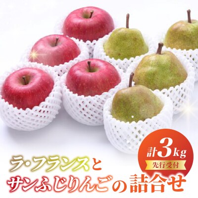 《先行受付》ラフランスとサンふじりんご詰合せ3kg【2026年11月頃より発送予定】 060-018