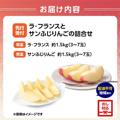 《先行受付》ラフランスとサンふじりんご詰合せ3kg【2026年11月頃より発送予定】 060-018
