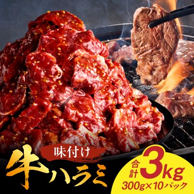 【食肉総合卸 丸正】牛ハラミ味付け3.0kg [153M15]