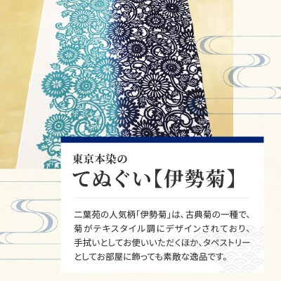 染の里おちあい 手ぬぐい 伊勢菊(黄色×緑)_0004-003-S05-2