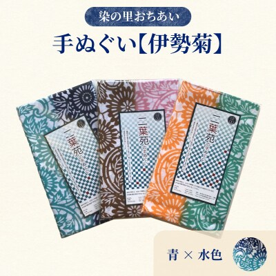 染の里おちあい 手ぬぐい 伊勢菊(青×水色)_0004-003-S05-3
