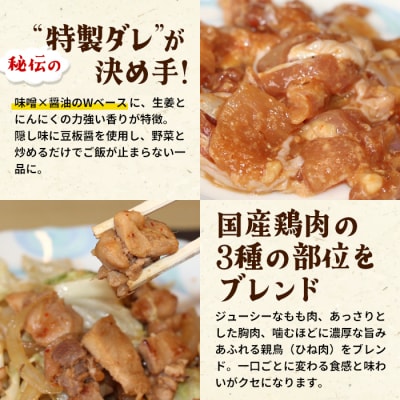 けいちゃん 2袋 お試し 鶏肉 味付け肉 ケイちゃん 郷土料理