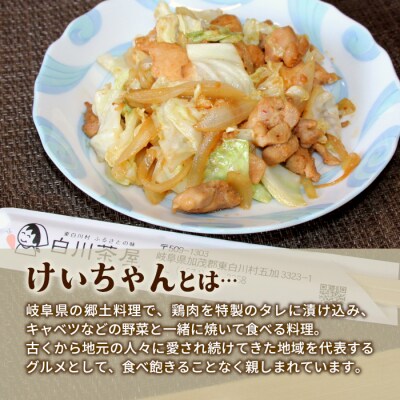 けいちゃん 4袋 お試し 鶏肉 味付け肉 ケイちゃん 郷土料理