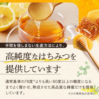 十勝養蜂園 国産 蜂蜜 シナ 500g×2個 はちみつ ハチミツ 純粋 無添加 保存食