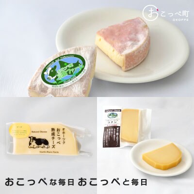 〔白ワイン〕☆ワインに合うチーズセレクト☆【13002】