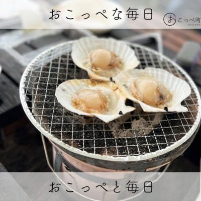 片貝ホタテ(10枚)　北海道オホーツク産【21012】