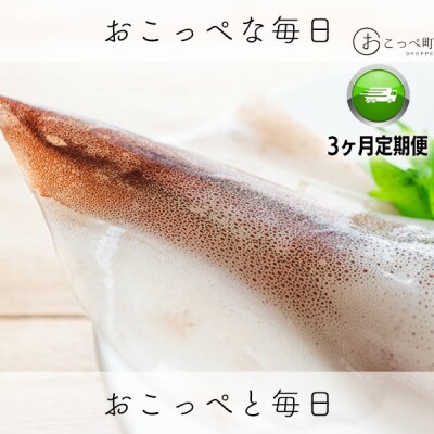 イカミミ1.5kg 隔月3ヶ月定期便【20035】