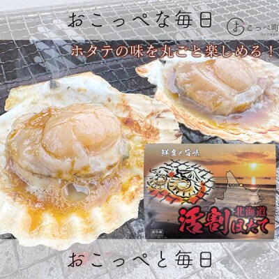 活割ほたて(9～10cm)20枚【18001】