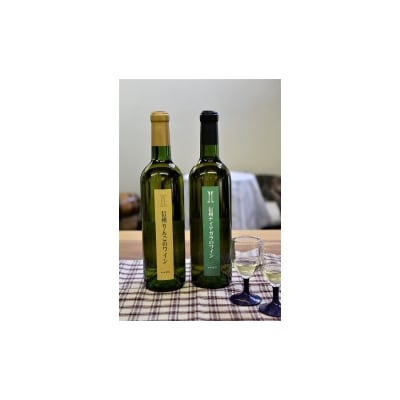 伊那ワイン工房　ワイン2本セット(信州ナイアガラと信州リンゴのワイン)