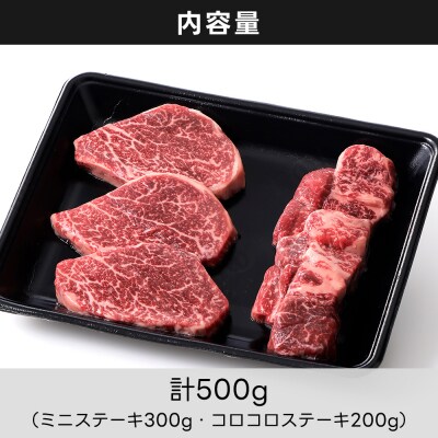 十勝ハーブ牛 ヒレ ステーキ 計500g 北海道産 牛肉 赤身