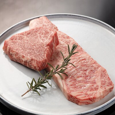 【冷凍】飛騨牛ステーキセット (サーロイン 200g×1枚・ヒレ 100g×1枚)【22-21】