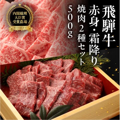 飛騨牛ロース・赤身焼肉セット(ロース200g・赤身300g)計 500g【冷凍配送】【22-44】